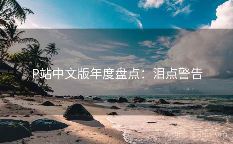 P站中文版年度盘点：泪点警告