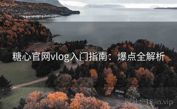 糖心官网vlog入门指南：爆点全解析